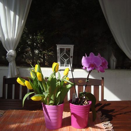Apartment Villa Holiday II Pula Luaran gambar